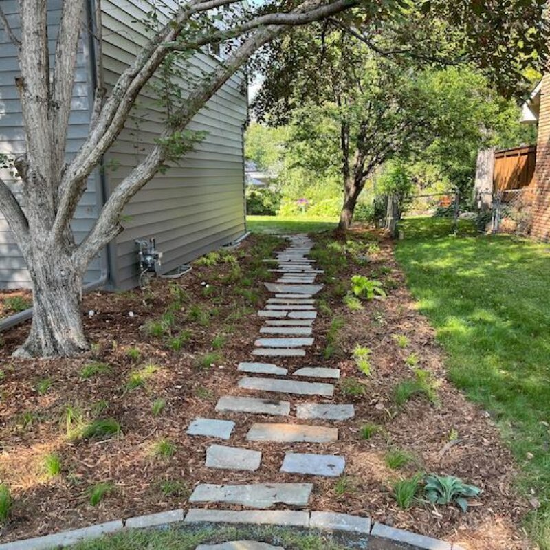 stepping stones in side yard