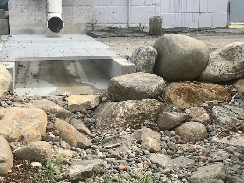 downspout leading to rocks at edge of raingarden