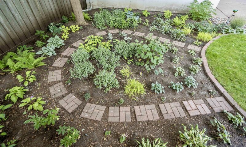 circular brick path among plants in yard
