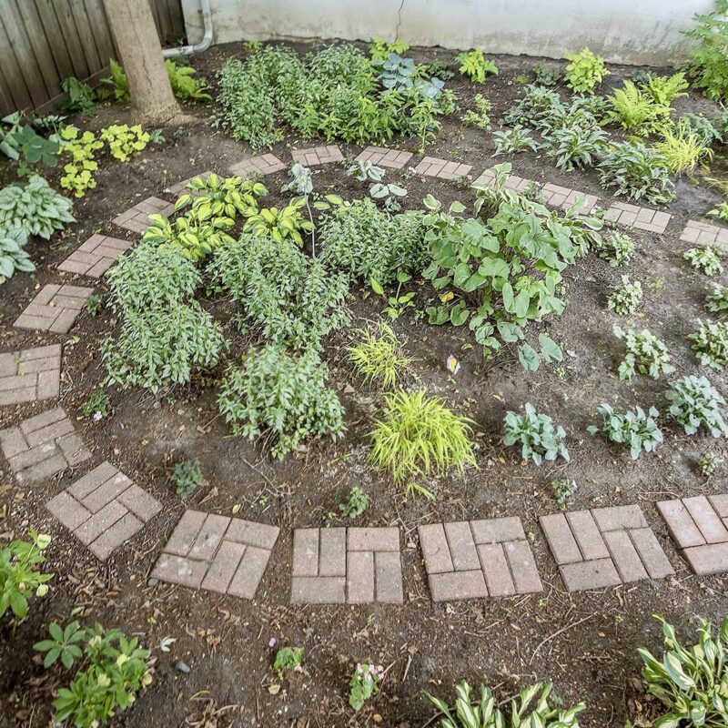 circular brick path among plants in shady