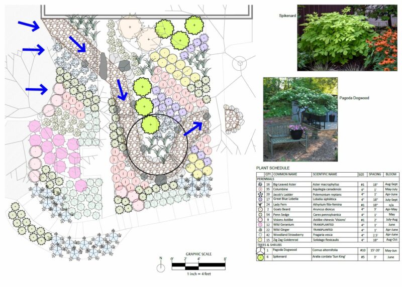 planting plan for yard project