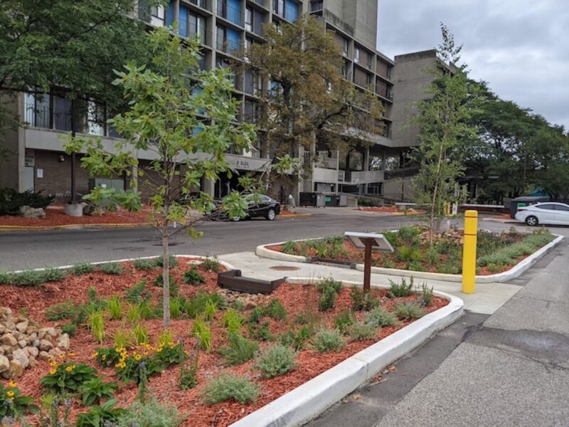 Two-part raingarden in parking lot