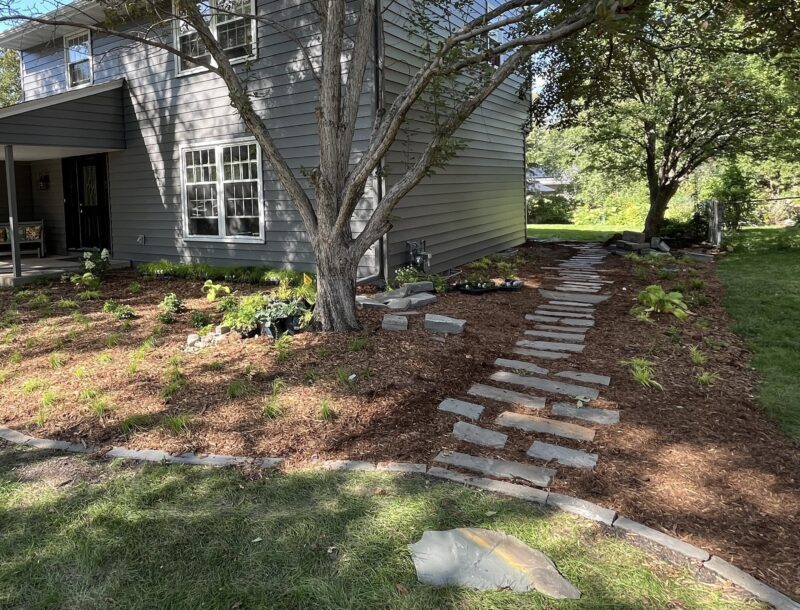 front yard with stepping stones