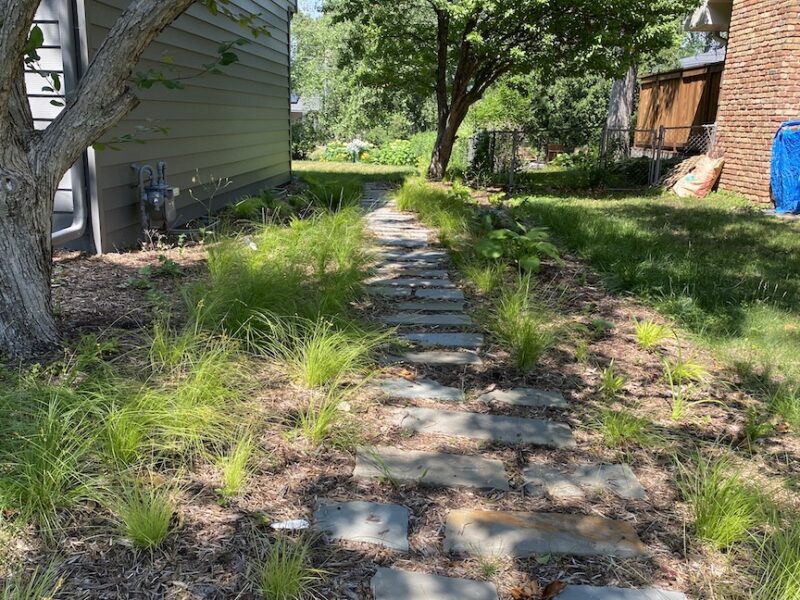stepping stones in shade on side of house