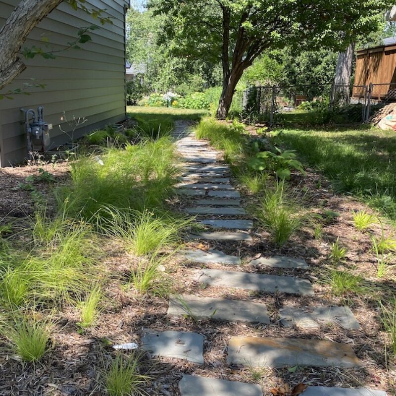 stepping stones in shade on side of house