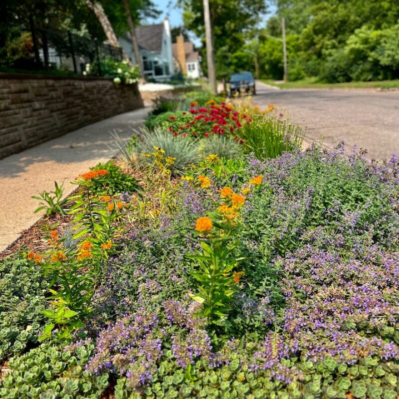flowering garden in boulevard