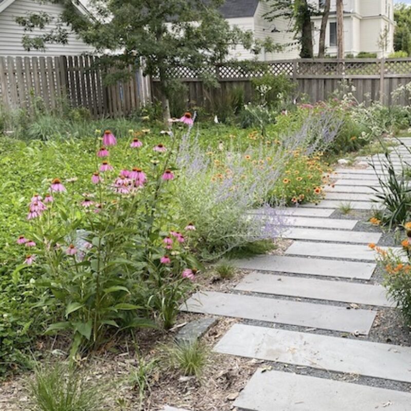 backyard with pavers and bee lawn and flowers