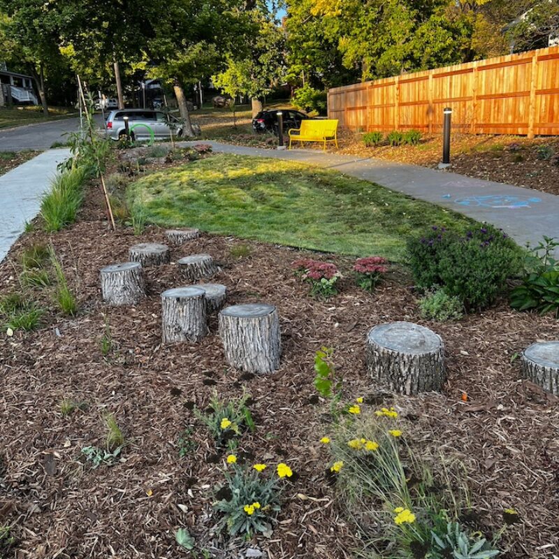 Tree stumps laid out as play elements in garden