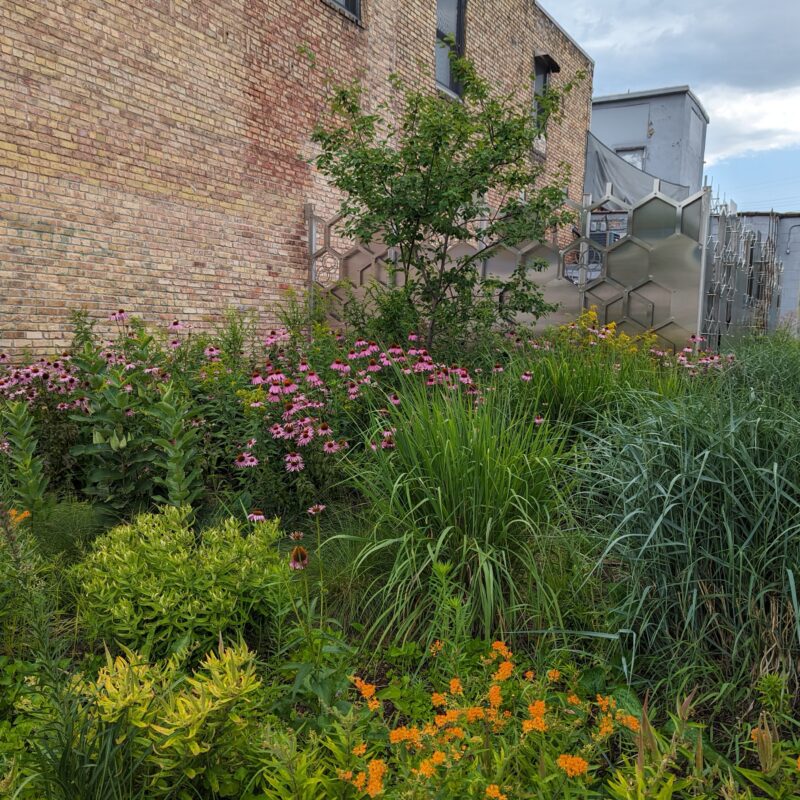 Landcare for Commercial Sites