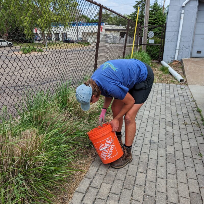 Crew member maintaining a boulevard garden