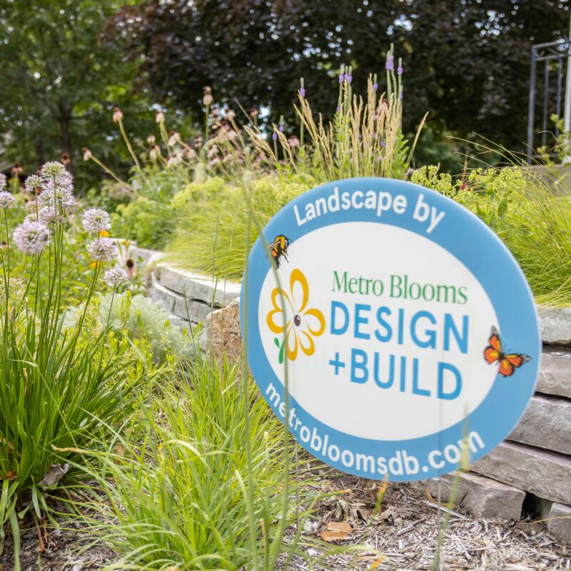 blue and white metro blooms design build yard sign in front of a sunny native plant garden with stone wall