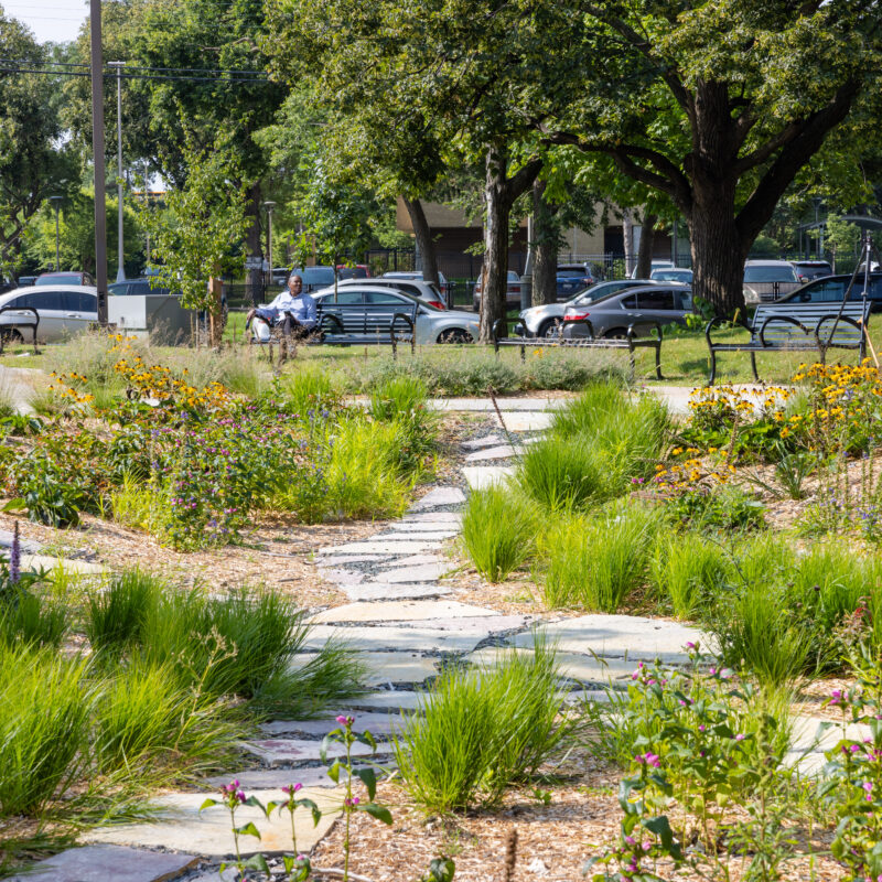 Riverside Plaza Rain Garden