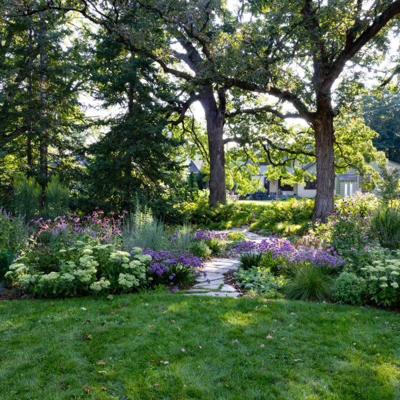 Shady Residential Rain Garden