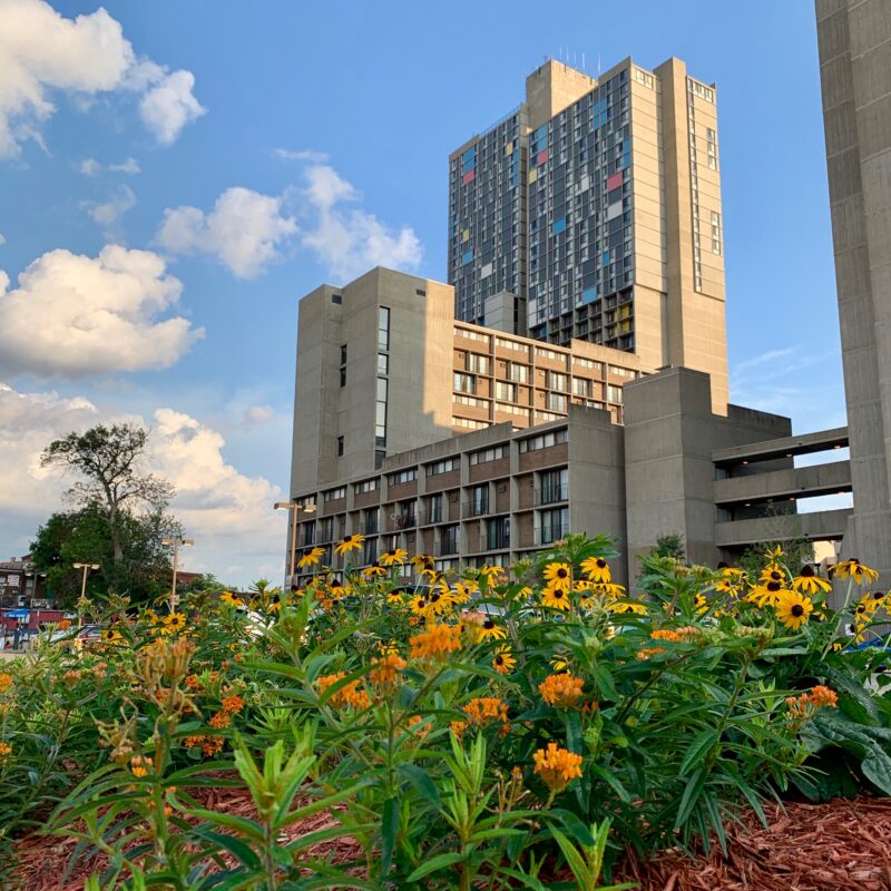Parking Lot Retrofit