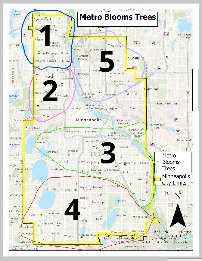 Tree Consultation Groups Map, explained in text below